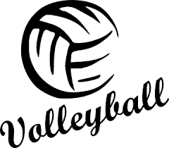  Volleyball 